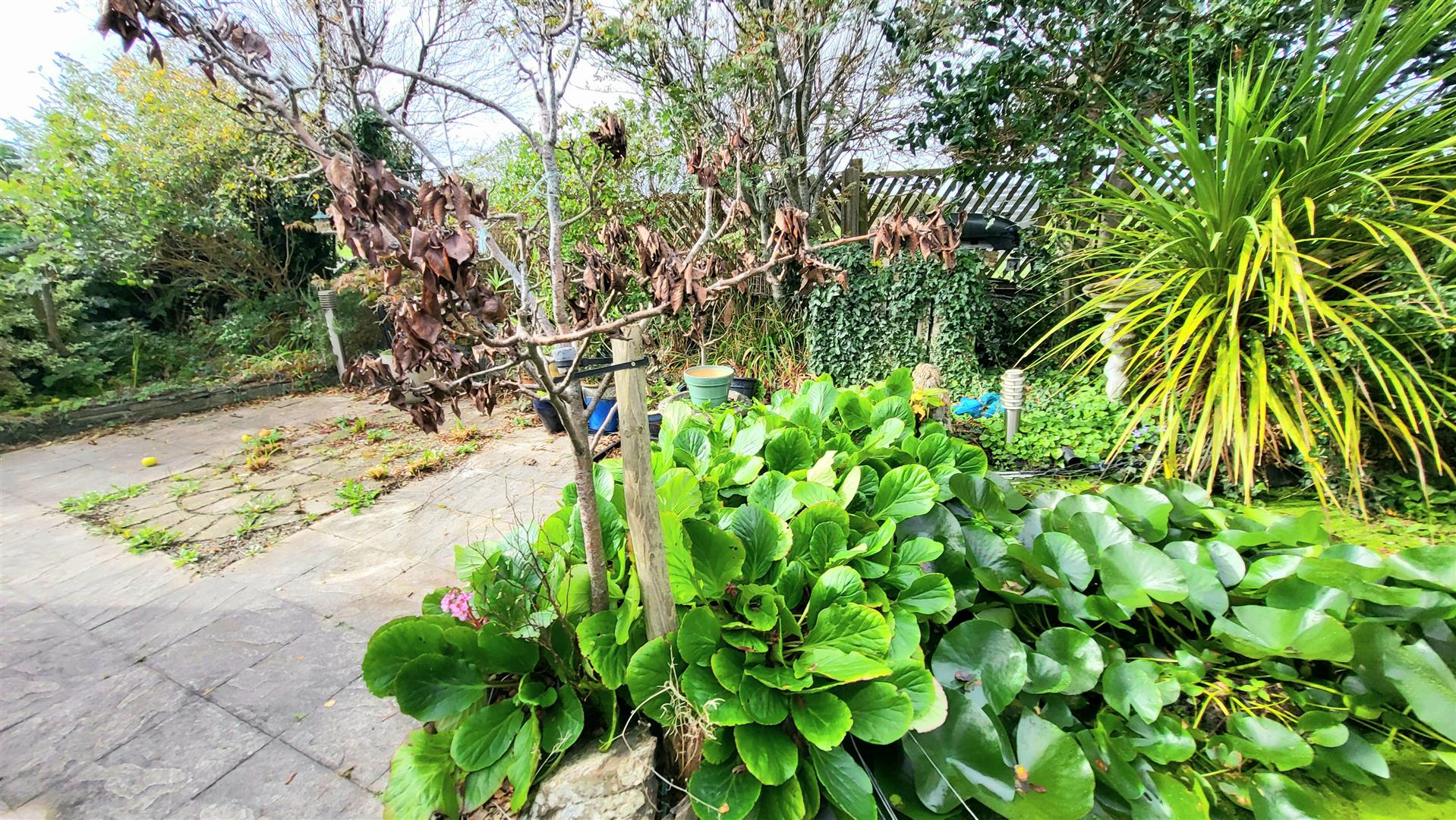 20251008_122714.jpg